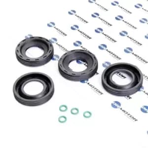 DR.MOTOR AUTOMOTIVE Gaskets DRM0195S Seal Kit, injector nozzle FORD,FIAT,PEUGEOT,Fiesta Mk6 Schragheck (JA8, JR8)
