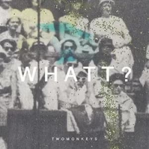 What? by TwoMonkeys Vinyl Album