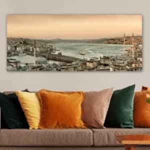 YTY788513056_50120 Multicolor Decorative Canvas Painting