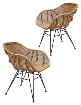 Bodan Pair of Metal Dining Chairs - Light Wood