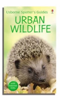 Urban Wildlife by Diana Shipp and Gill Harvey and Diana Shipp Paperback
