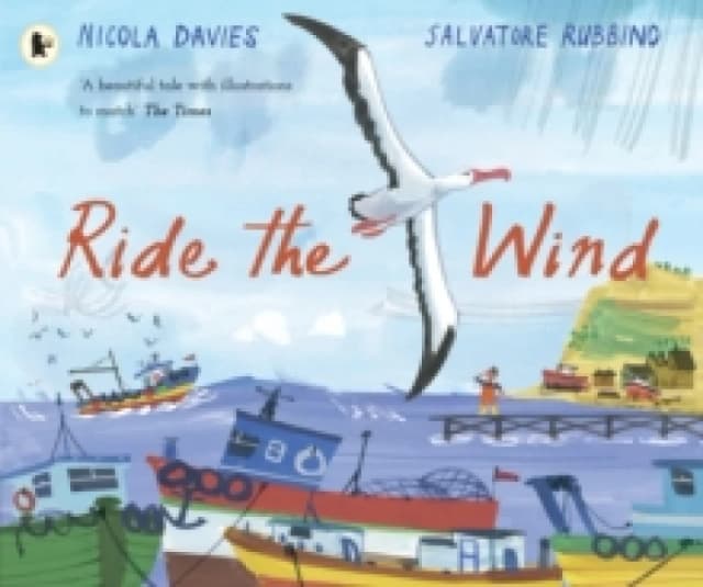 Nicola Davies Ride the Wind Book Multi unisex
