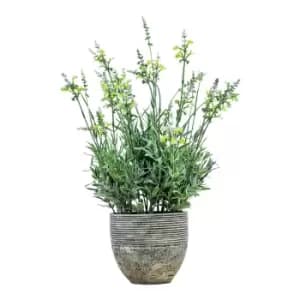 Gallery Interiors Garner Potted Lavender Cream Green / Small