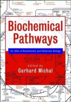 Biochemical Pathways by Gerhard Michal Hardback