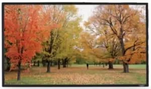 Sapphire AV 106" SFSC234-SB-AT 16:9 Projector Screen