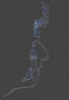 The Bob Dylan Encyclopedia by Michael Gray Hardback