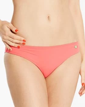 Sunseeker Classic Bikini Brief