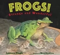 frogs strange and wonderful