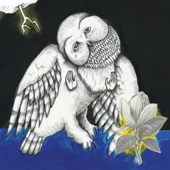 Songs: Ohia - Magnolia Electric Co.. CD