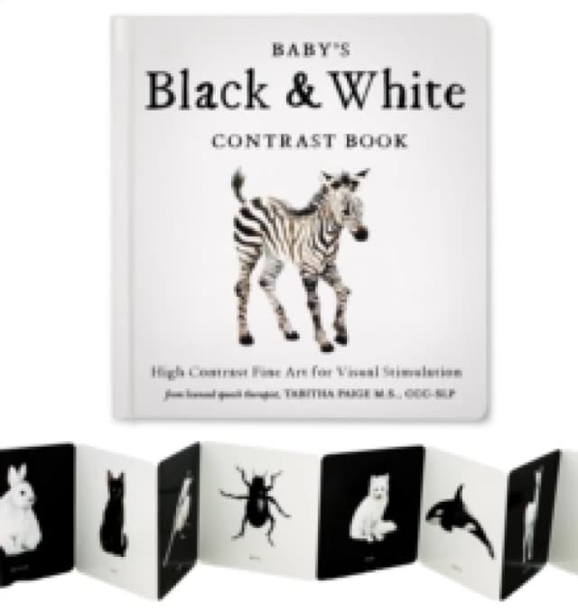 Baby's Black and White Contrast Book : High-Contrast Art for Visual Stimulation at Tummy Time Board book