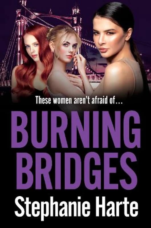 Burning Bridges : An absolutely unputdownable and gripping crime thriller! Paperback / softback