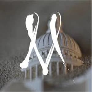 My Bus - Our Life In The Desert Vinyl