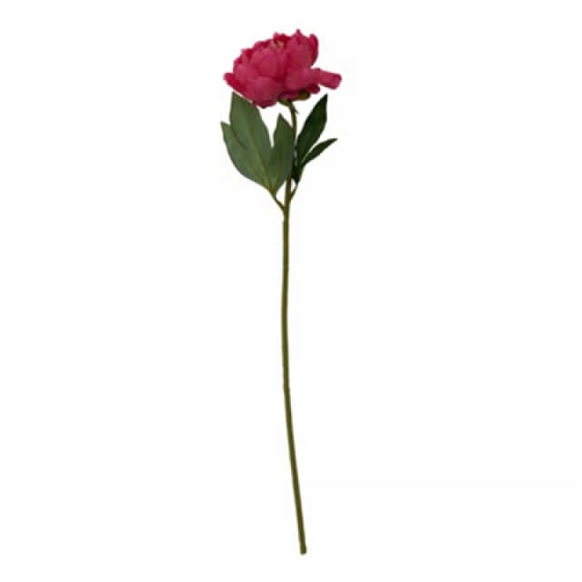 Premier Housewares Fiori Artificial flowers Peony Stem Flower - 65cm Pink