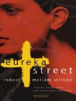 Eureka Street by Robert Mcliam Wilson Paperback
