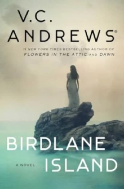 Birdlane Island : A Novel Hardback