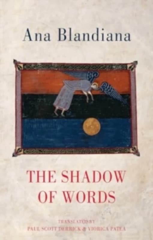 The Shadow of Words Paperback / softback