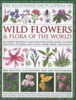 The Illustrated Encyclopedia of Wild Flowers and Flora of the World by Martin Walters and Michael Lavelle and Michael Lavelle and Martin Walters Hardb