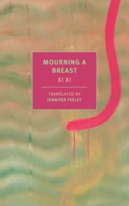 Mourning a Breast Paperback / softback