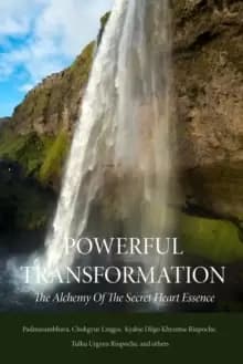 Powerful Transformation : The Alchemy of The Secret Heart Essence