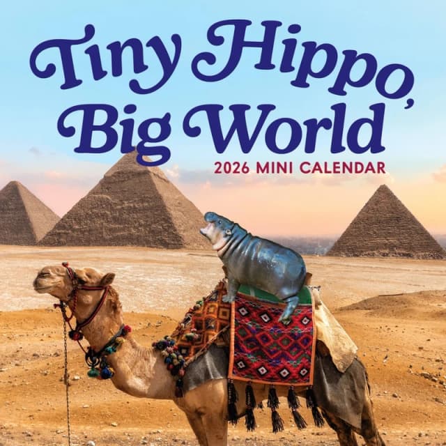 Tiny Hippo, Big World Mini Calendar 2026 Calendar