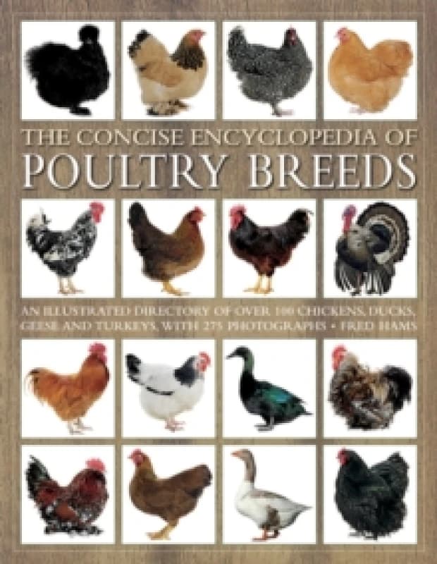 Concise Encyclopedia of Poultry Breeds Paperback / softback