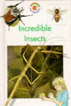 Incredible Insects by Helena Ramsay and Jenny Mumford Hardback