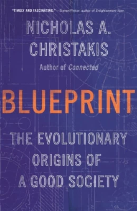 Blueprint. Paperback. By Nicholas A Christakis Books