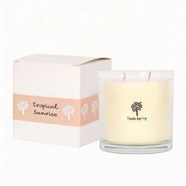 Nicola Spring 400G Soy Wax Candle - Tropical Sunrise - Double Wick Glass Jar - Fruity Summer Scent Long Burn Fragrance