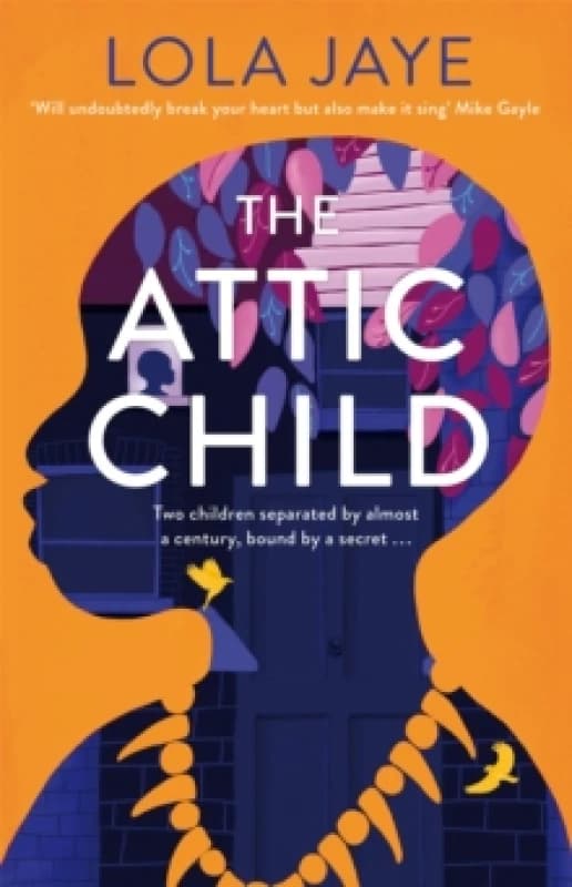 The Attic Child Hardback