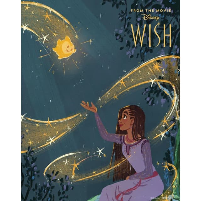 Disney Wish Poster Wall Art Black unisex One Size
