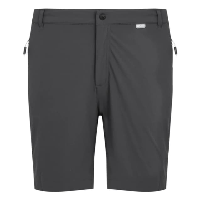 Regatta Regatta Men Isoflex 'Mountain II' Shorts in Mid Grey Size: 32 Mid Grey 32 Male 5063019007489