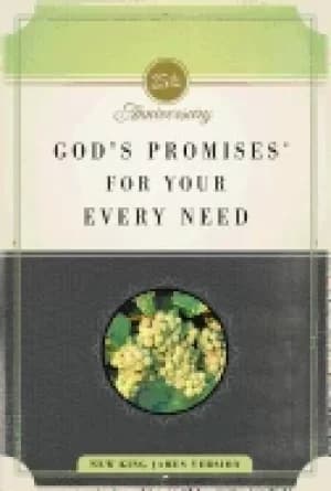 gods promises for your every need