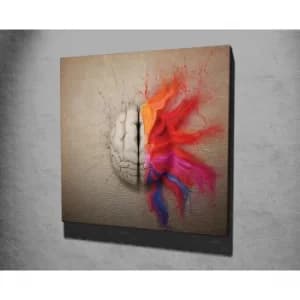 KC298 Multicolor Decorative Canvas Painting