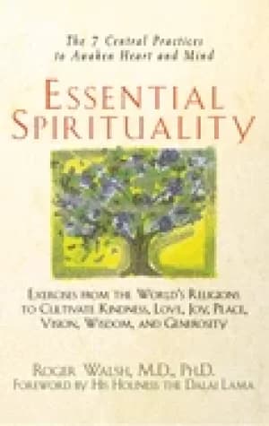 essential spirituality the 7 central practices to awaken heart and mind