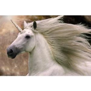 Bob Langrish - Unicorn Maxi Poster