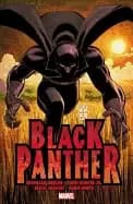 black panther who is the Black panther