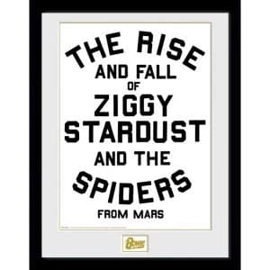 David Bowie The Rise and Fall Collector Print