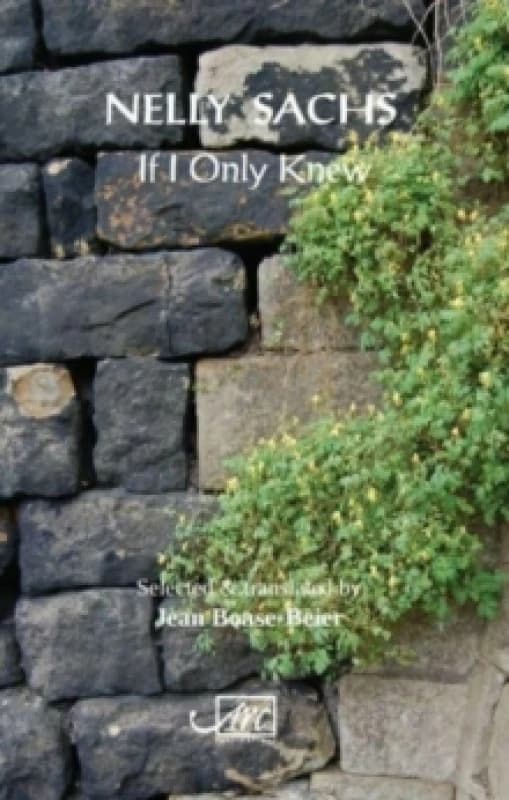 If I Only Knew Pamphlet