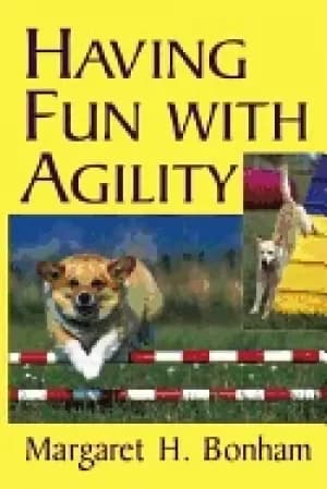 having fun with agility
