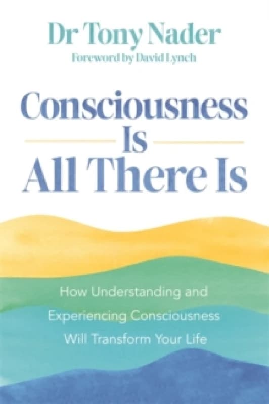 Consciousness Is All There Is : How Understanding and Experiencing Consciousness Will Transform Your Life Paperback / softback