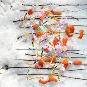 Tomutonttu - Kevatjuhla Vinyl