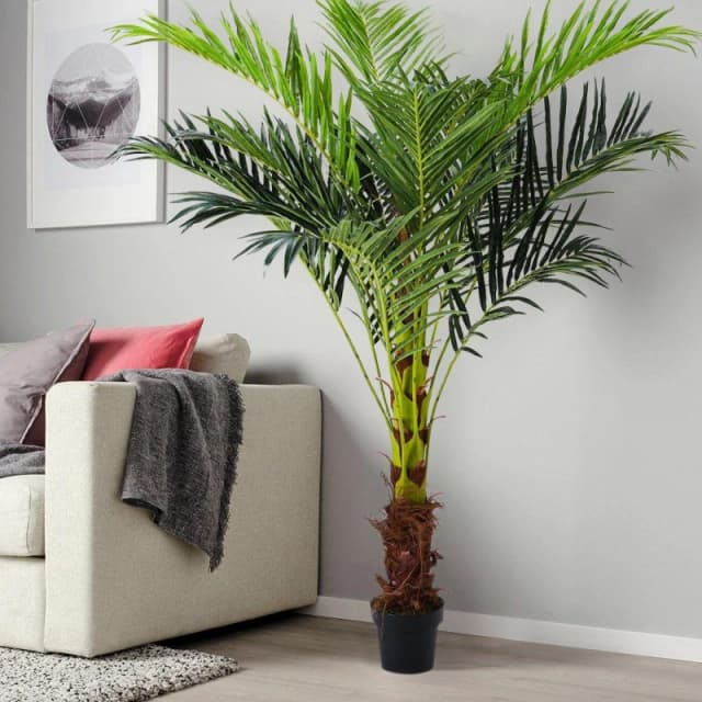 LIFE IDEAS 180cm Artificial Palm Tree Greenery Decoration - Green and Brown Green and Brown Oversized