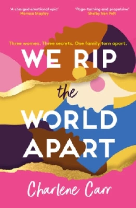 We Rip the World Apart : A sweeping story about motherhood, race and secrets Paperback / softback