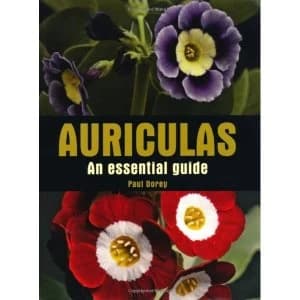 Auriculas: An Essential Guide by Paul Dorey (Hardback, 2011)