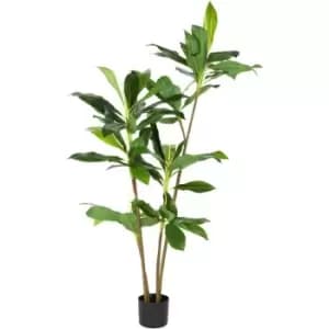 Home and Styling Dracanea Plant 24 - Green