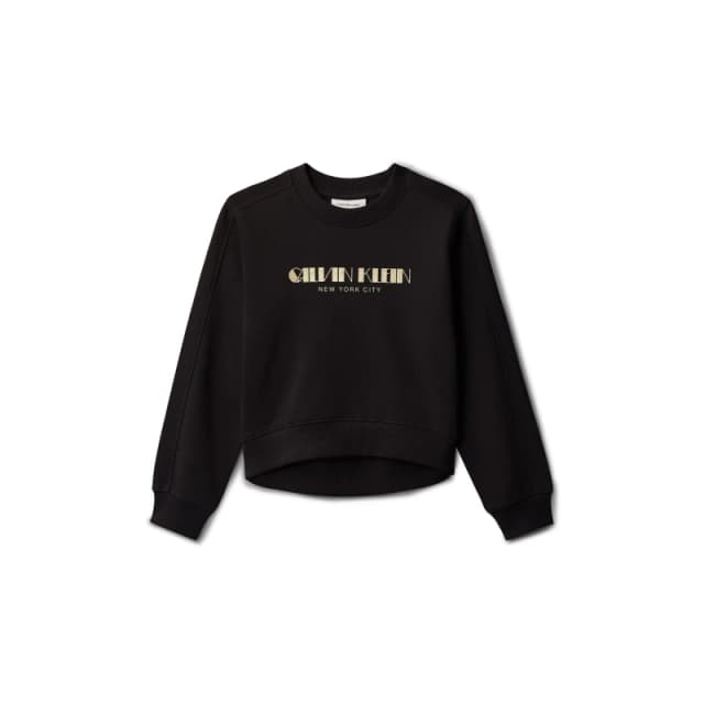 Calvin Klein Jeans Kids Glitter Crew Sweatshirt Ck Black female 8Y