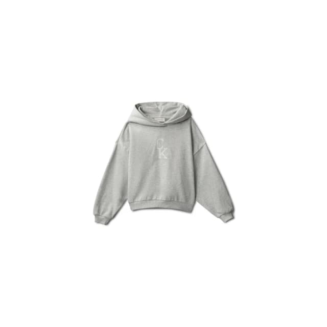 Calvin Klein CK L Hood Swtshrt Jn63 Grey female 8Y