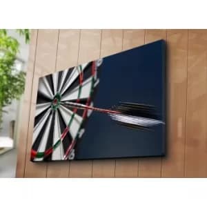 70100C-041 Multicolor Decorative Canvas Painting