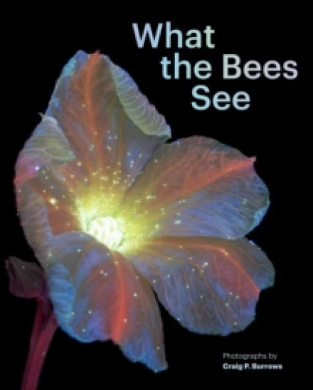 What the Bees See Hardback