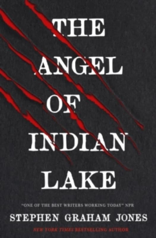 The Angel of Indian Lake Paperback / softback